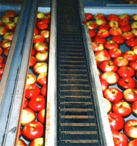 Series R68 in an apple sorting facility, in continuous contact with humidity and dust. 