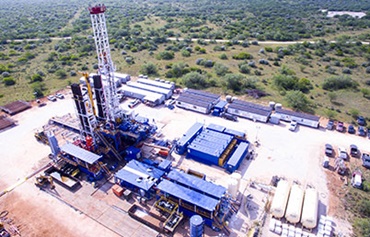 Platformă terestră