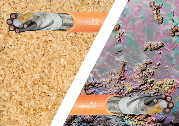 Seminar online despre CF